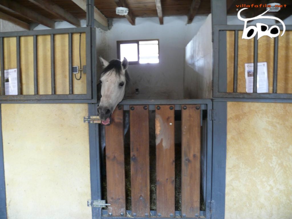 Cuadra de un caballo