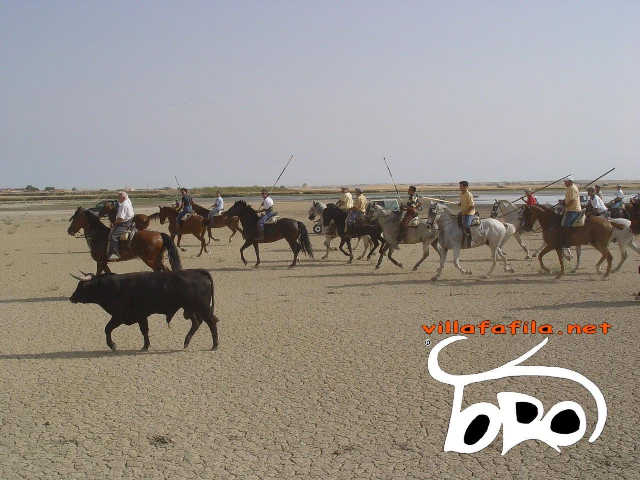 Encierro por el campo