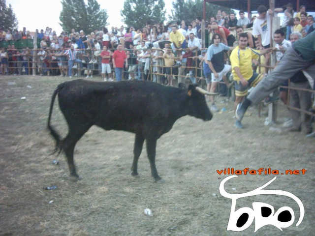 desenjuale taurino
